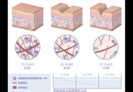 水潤皮膚的秘密武器，乙酰殼糖胺和透明質(zhì)酸的甜蜜聯(lián)盟！